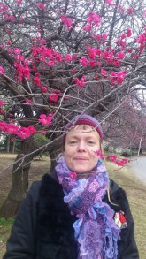 Plommonblommen i Tokyo