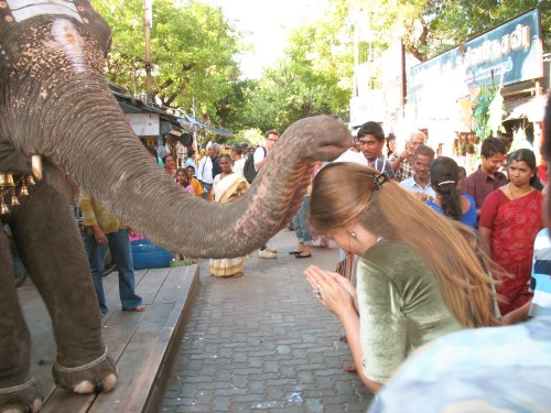 Pooja blir välsignad av en elefant utanför Ganeshas tempel i Pondicherry