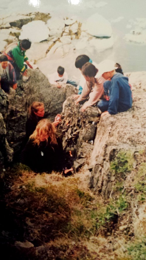 En vägg av musselskallampor