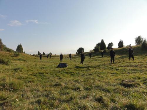 Juniperus Foto: Michael Lloyd